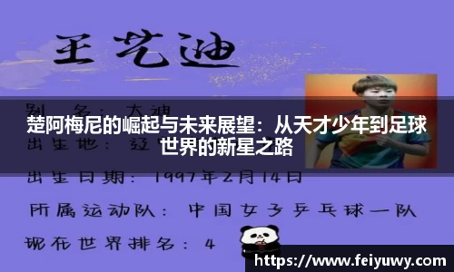 完美.(中国)体育官方网站-365WM SPORTS