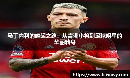 完美.(中国)体育官方网站-365WM SPORTS