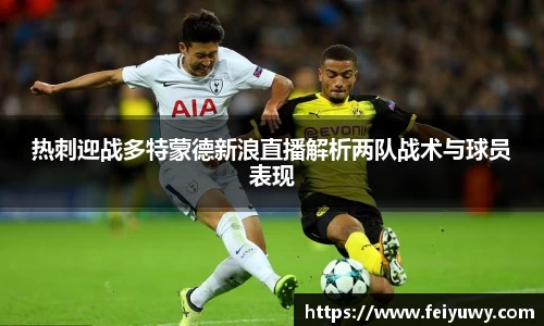 完美.(中国)体育官方网站