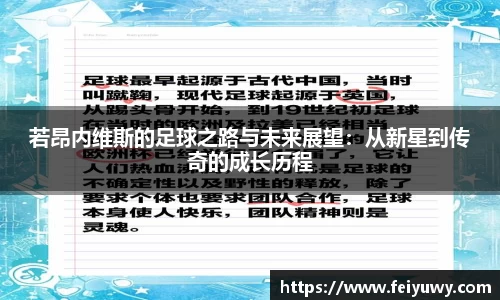 完美.(中国)体育官方网站